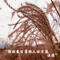 ������Ӱ����Ƭ��ȥ�����εı������յ�