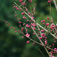 ̫������ԭ�������������������ѵ�÷�����͵أ�