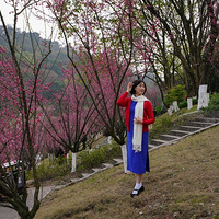 ���Ҷ�ǰ����÷��