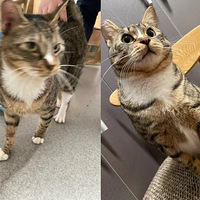 ��ܵ����������£���ĺÿɰ���