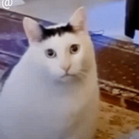 ͬͣôͷbugĻ