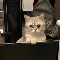 ����ÿ�������±�ץ���ı���̫��Ц�ˣ��ϱ��ӹ�������Ա