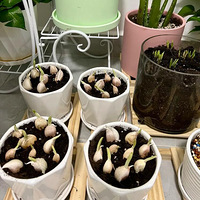 ��ŷ�ѿ�˾����һ�壬�Ӵ�ʵ���������ɣ���������