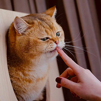 �ض�èè�أ���ʺ�ٵļ��������������