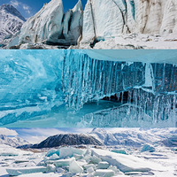 ��������Լ����ű���