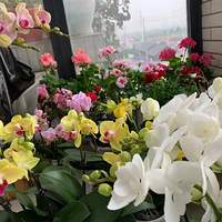 ��������������Ŀ� ���޷��԰�