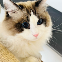 ���ҼҲ�ż����ף���Ů������~