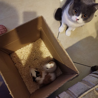 è������