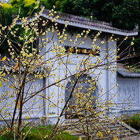 ����԰��԰-3000����÷Ʈ��