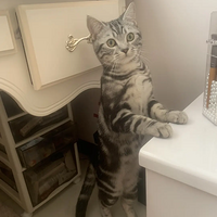 �����������Ȼ��ţ�ⲻմ