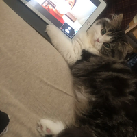 ��è��ϲ�������ҵ��ֿ�