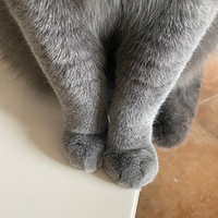 è������ɰ��������ط�