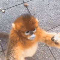 ÿһν˿üɽĺӾҪһ
