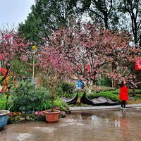 ӣ������һ������