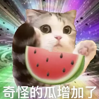ʯܲ򶫾Ȧȴ˱ɨسŵĺ׸