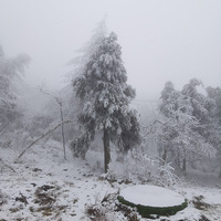 �߾��ߵ����У������������������