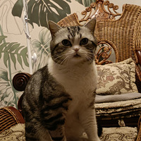 ��è��һ����������