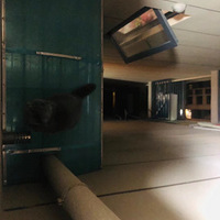 һֻ�й��µ�è��19¥����ȥ�������š�