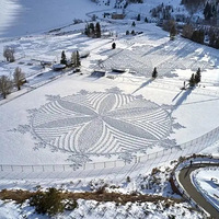 ��Щ�������ѩ....