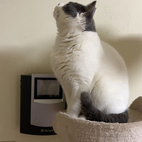 ���ڡ����Ĳ�������