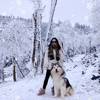 �������ѩ����ѩ����������ʤ��