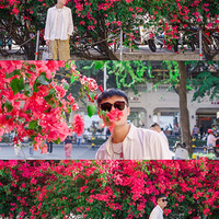 ������������÷�ٲ��ĳ���ϵ��Ƭд���