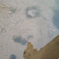 ��ձ�������Ȫ�Ĳ���