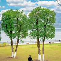 �򿨺ϴ�С��ʿ�Ҹ����Ĺ������б��ع�԰