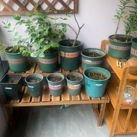 �ҵ�С��̨��԰��