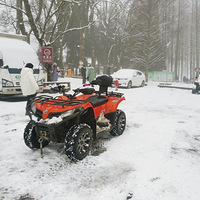 ��ϵ��ѩ�����³���nice