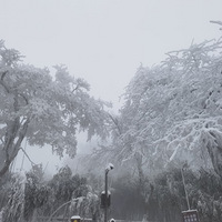 2022.2.2���ɽ�μ�