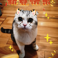 ������������ڣ�������������Ȼ��Ȥ��