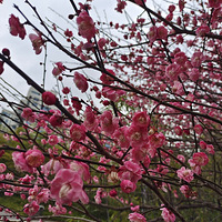 �������빫԰������������Щ�ط�����ˣ