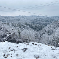 û���ѩ�Ź����ڵ��겻����