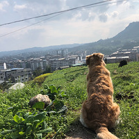 �����ȳ�