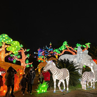 ҹ����ɽ���ձȲʵƼ��껪