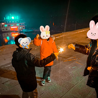 ���̻�������