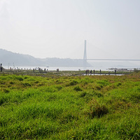 ����������ɸȹ���