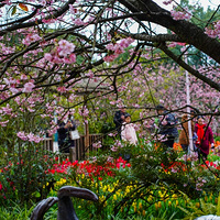 ����ʱ�ְٻ�ӭ��