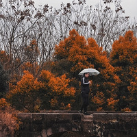 ����һ���������췢ù�ĳ���