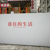 ɽ��.����������