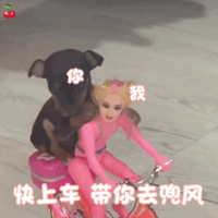 ��27ֵ���򡿸�¶������5֧39�����ݷ���������4����237