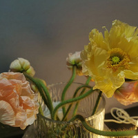 ����Ļ���Ʒ�ֺö࣬�����ˣ�