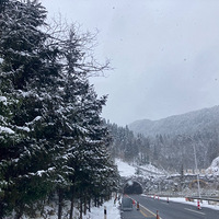 ���������ʯ����ˮ���ʻ�ѩ���������ԣ�