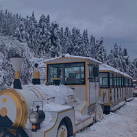 ѩ������