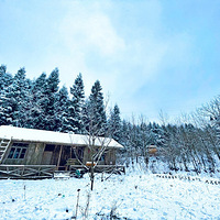 �����Ϸ����ӵ�ѩ��