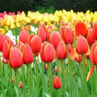 ���������90���������㿪�ˣ��Լ�1.5hɲ£��1������أ�