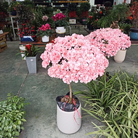 ��������Ҳ�л����г���