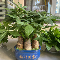 �����޶�������룬��������������ռ�