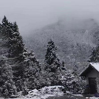 ��һ�����ɽѩ��¶Ӫ